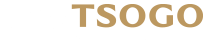 playTSOGO Blog