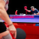Bet on table tennis