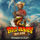 Big Bass Splash
