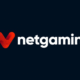 Netgaming