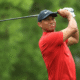 TIGER WOODS